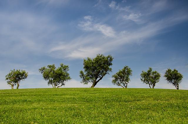 Scottish Borders service in consultancy in environmental services