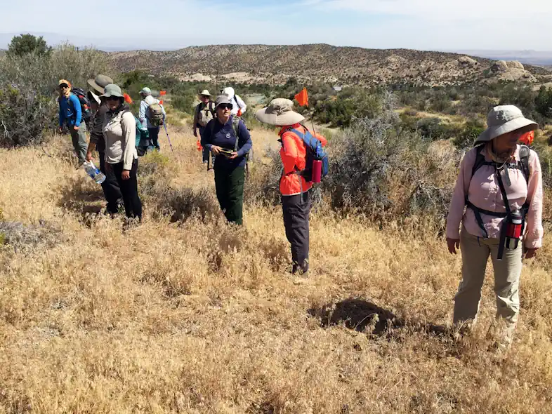 Archaelogists at the start of a survey for a Best Practice Onshore Wind Farm Environmental Impact Assessment