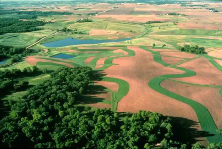 Buffer strip image illustrates Onshore Wind Farm EIA article.