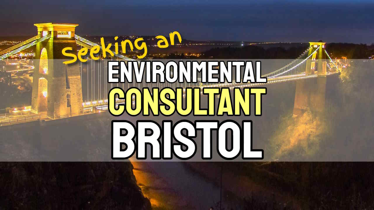 Featured image text: "Seeking an Environmental Consultant Bristol".