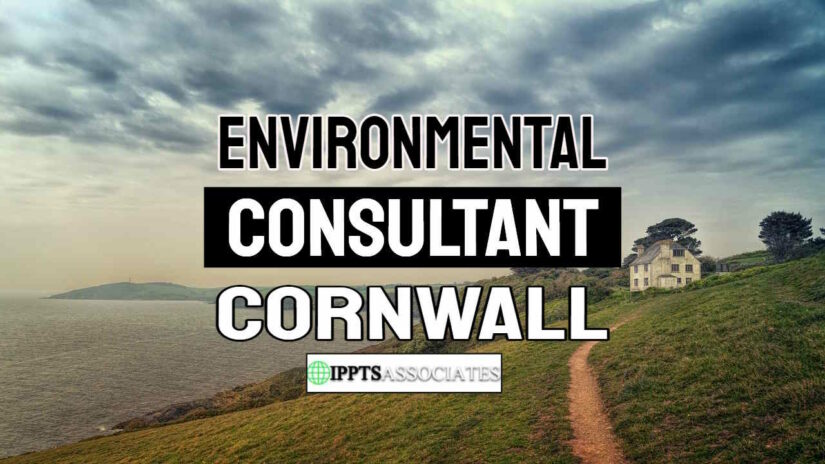Environmental Consultant Cornwall