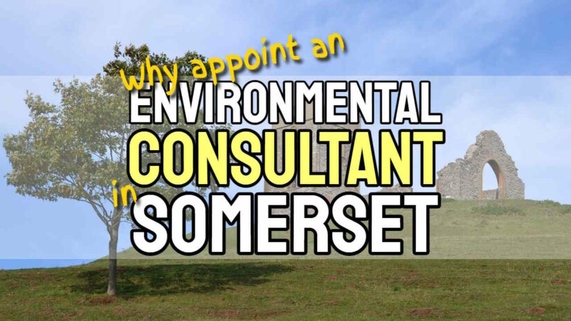 Featured image: "Why appoint an Environmental Consultant in Somerset".