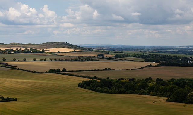 Environmental consultancy Bedfodshire image Environmental consultancy in Bedfordshire helps preserve the rural landscape.