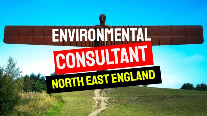 Featured image for the Environmental consultant northeast uk page.