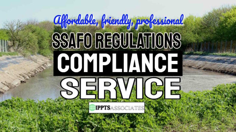 Featured image with the text: SSAFO Compliance Report Service".