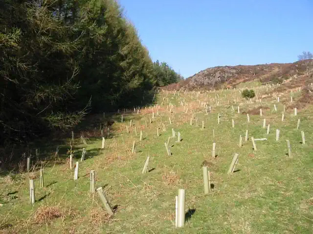 Example image showing habitat conservation as may be required by a best practice EIA.
