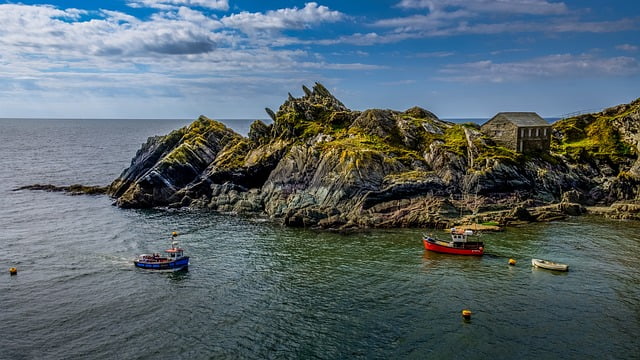 Unique South West environment Environmental consultants can help to maintain the unique South West environment.