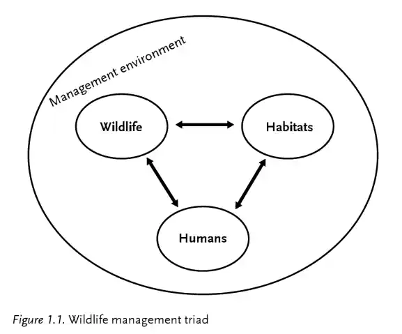 Wildilfe Mnagement Schematic from Wikipedia